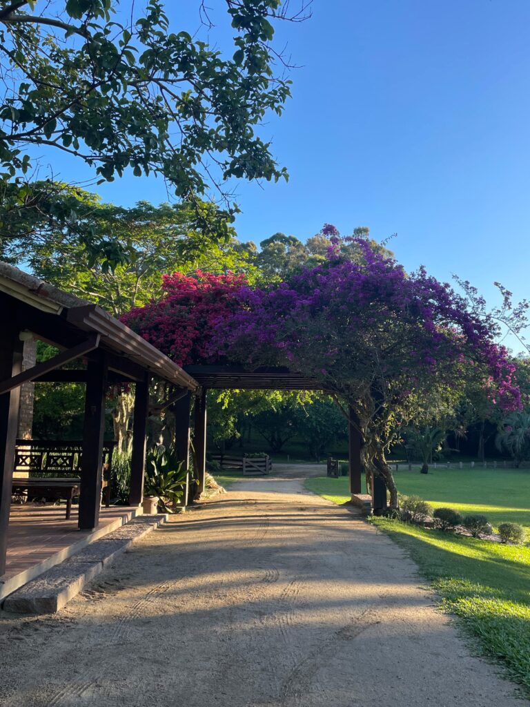 WhatsApp Image 2025-11-13 at 12.49.22