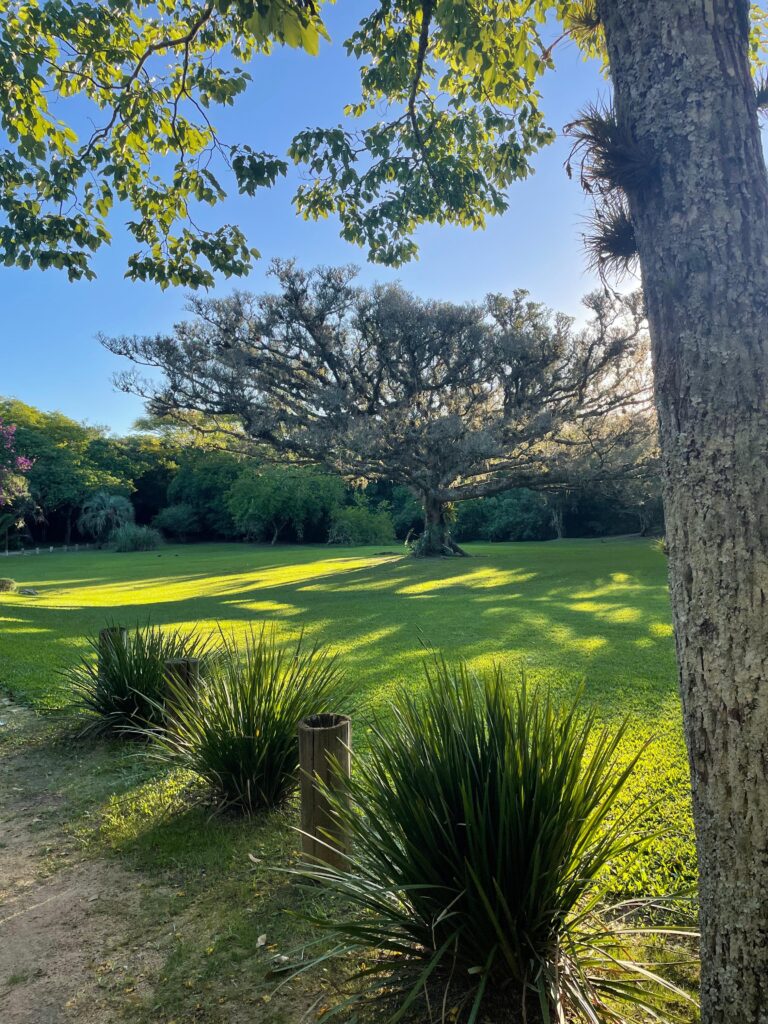 WhatsApp Image 2025-11-13 at 12.49.23 (2)