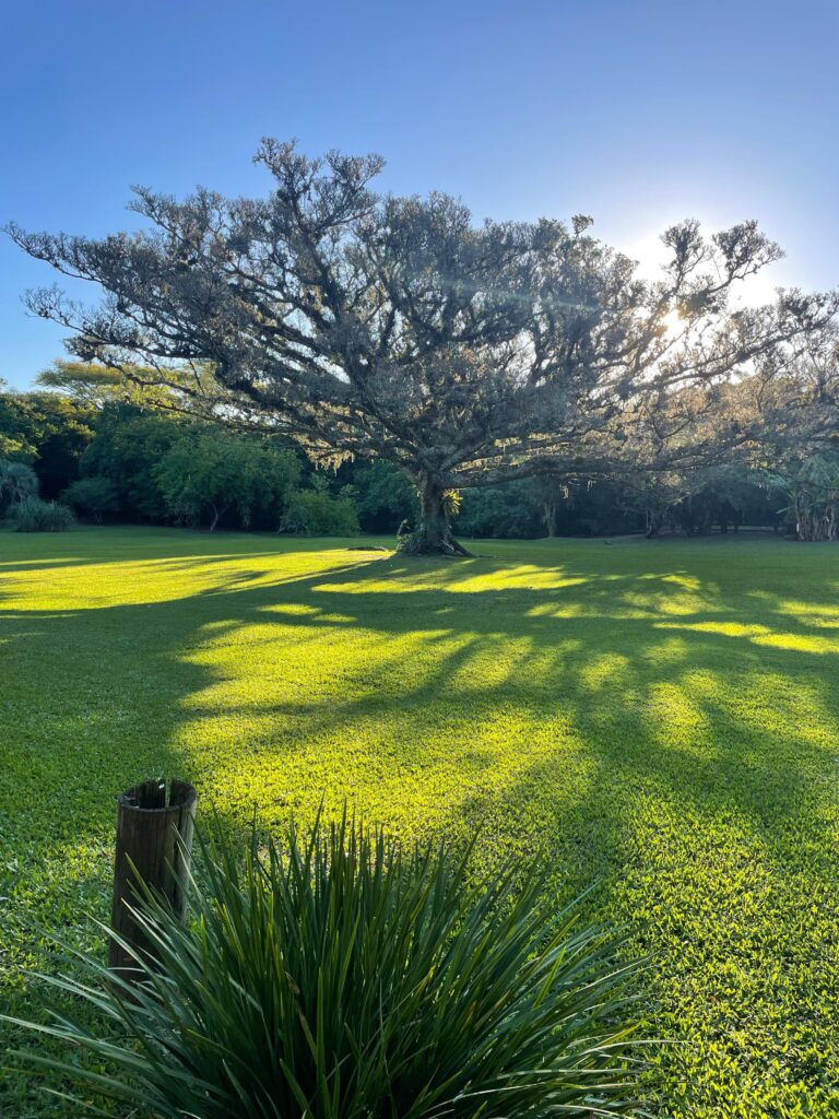 WhatsApp Image 2025-11-13 at 12.49.23