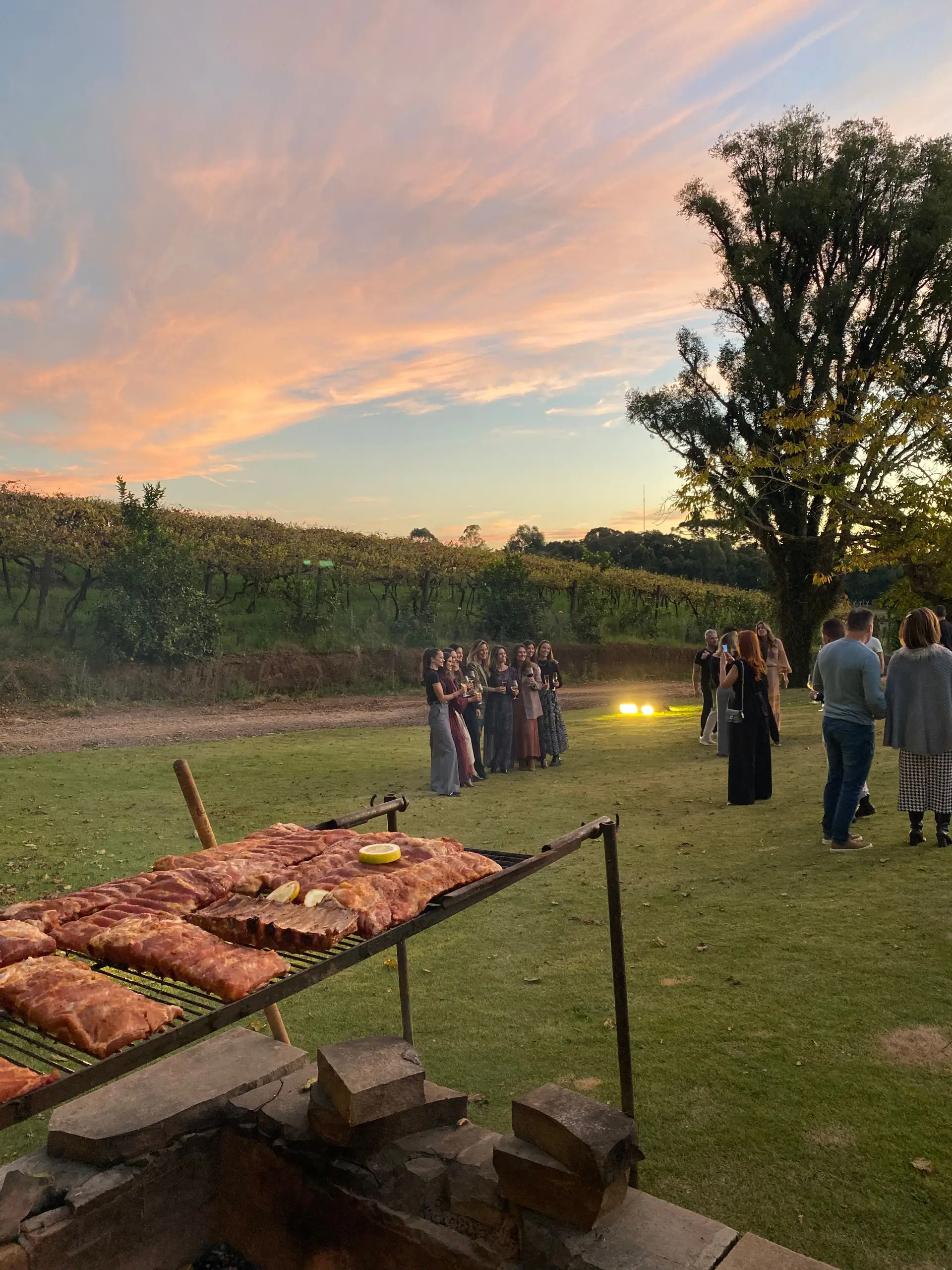 Carne Diem reúne gastronomia, vinho e música em experiência na Don Giovanni